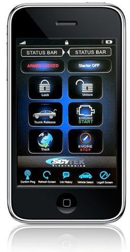 Ford vehicle security and remote start system manual #6